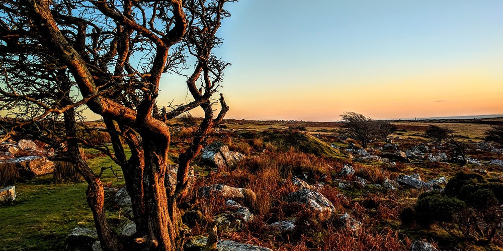 Discover Bodmin Moor Cornwall